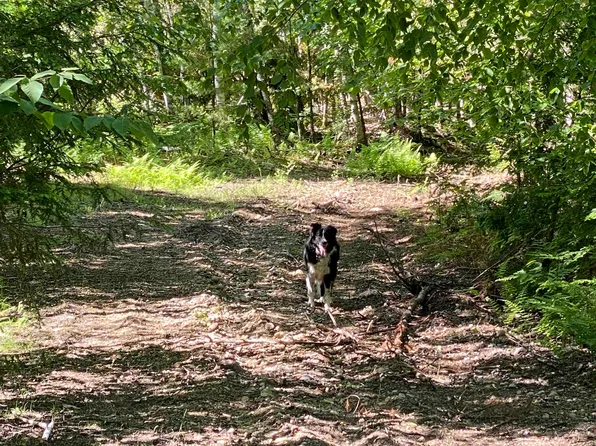 Lot 16-4 Catamount Road, Pittsfield, NH 03263