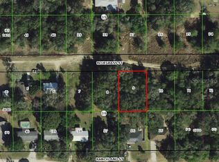 2407 Bluegrass St LOT 9, Inverness, FL 34453