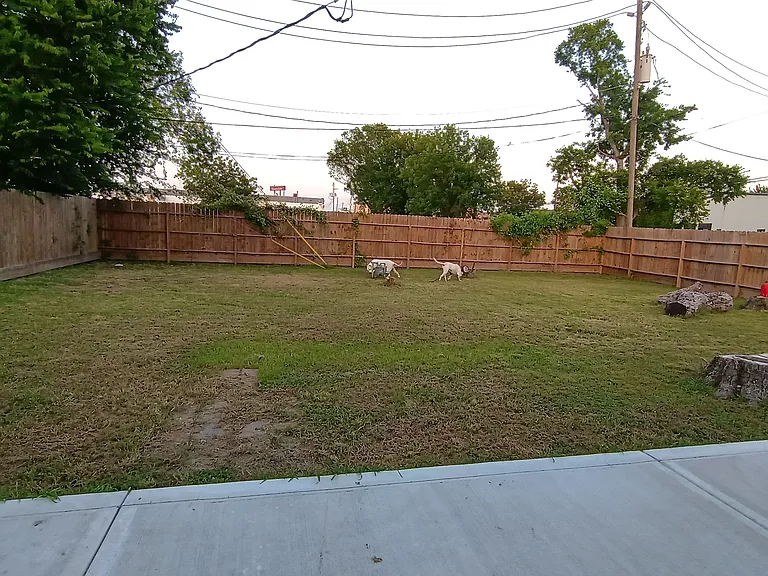 4702 Marable Dr — Photo 14