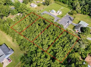 King Ave LOT 210, Zellwood, FL 32798