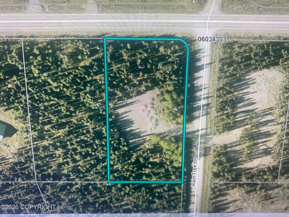2nd image of 121 Rain Tree Ln