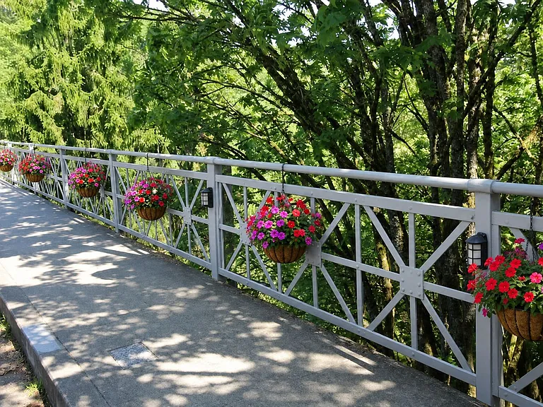 Walking, running, and biking trail