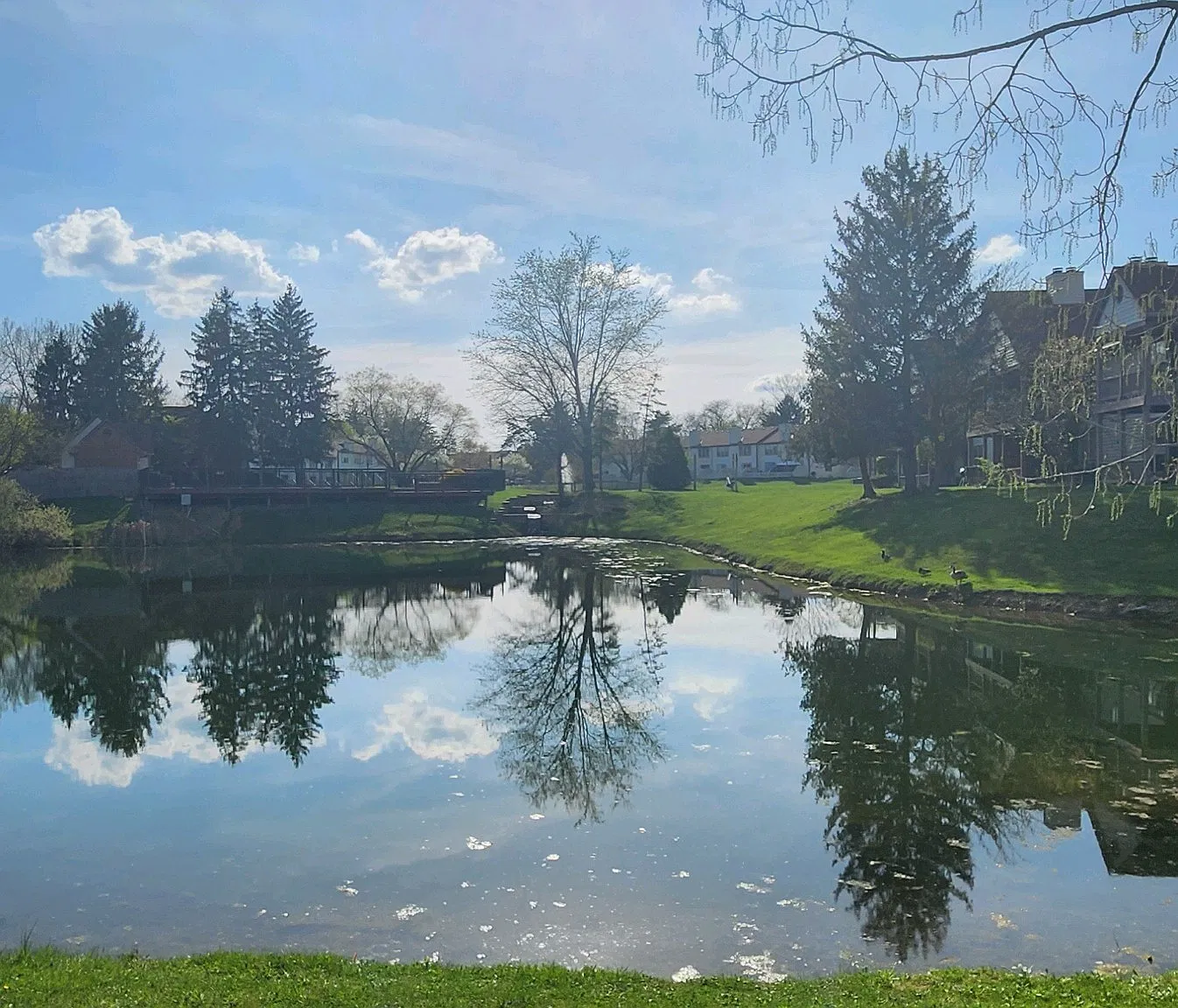 2 bed, 1.5 bath, 1600 sqft, $1,600 — Photo 1