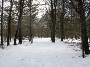 Brunswick Rd, Holton, MI 49425