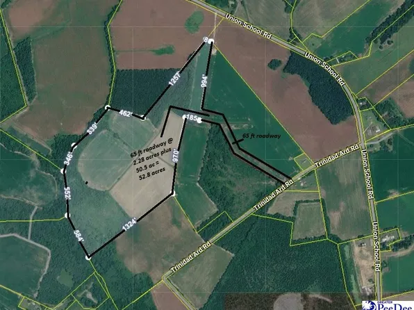 Union School Rd, Coward, SC 29530
