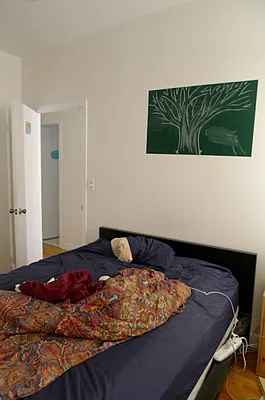 Rented by Citi Habitats | media 18
