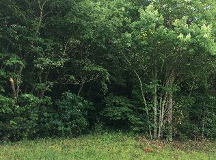 2-3 Four Ballewtown Rd, Blue Ridge, GA 30513