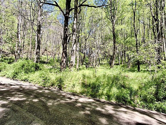 4th image of 000 Cold Mountain Road