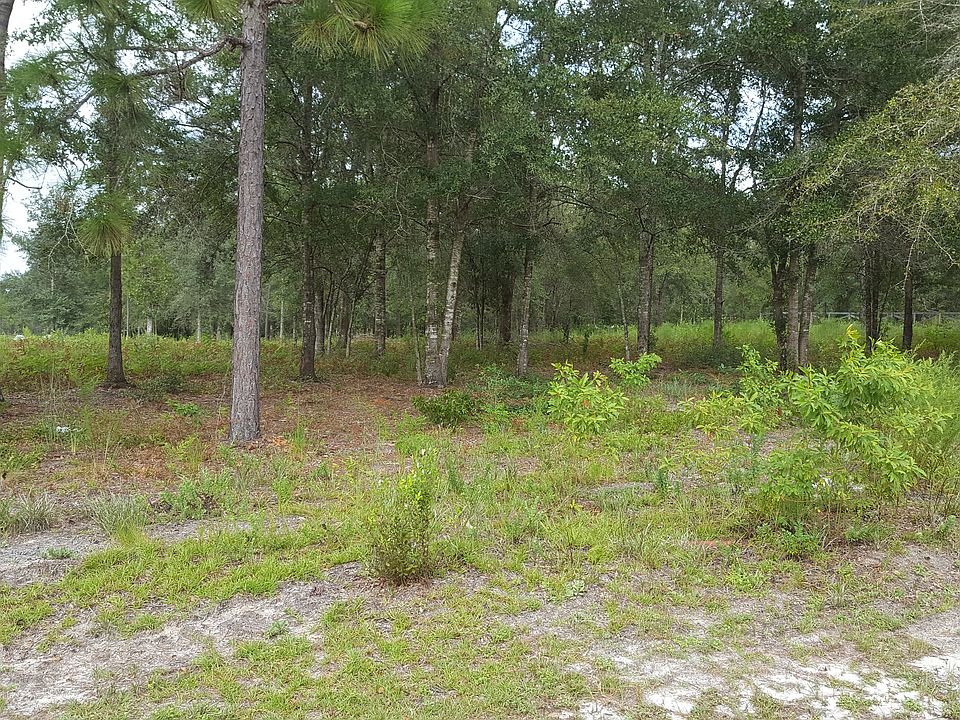 2nd image of Lots 40-41 Wade Trl