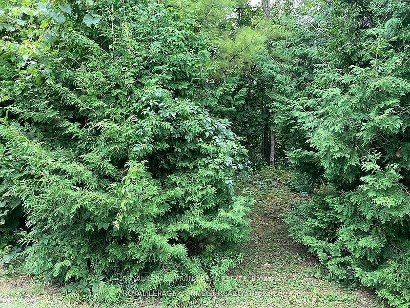 1st image of 0 Pinecrest Rd