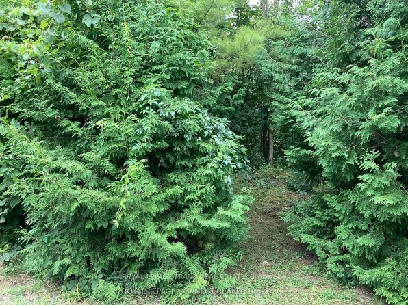 0 Pinecrest Rd, Georgina, ON L0E 1N0