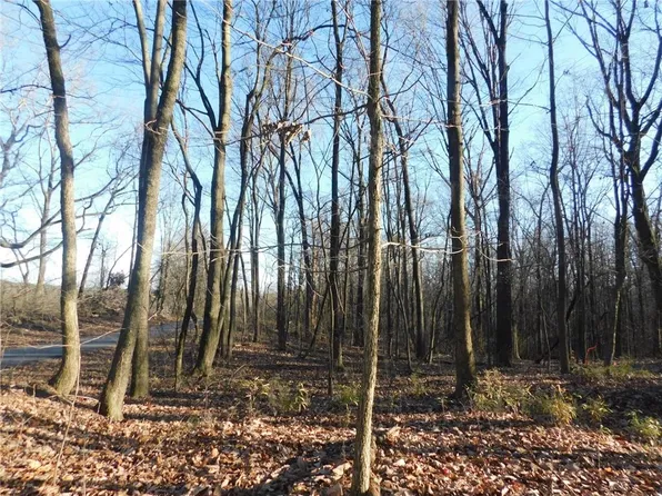 74 Lee Chester Rd #524, Dahlonega, GA 30533