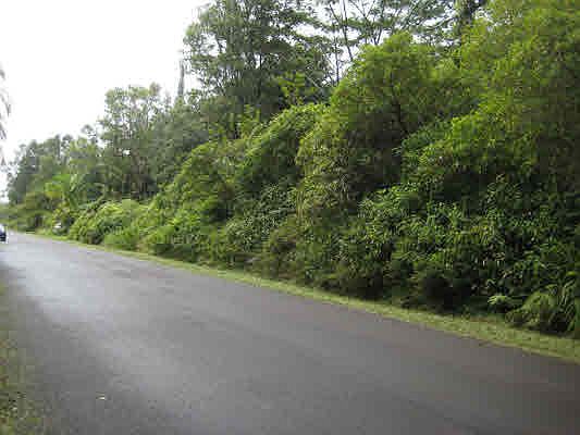 2nd image of 13-3532 Maile St Lot 43