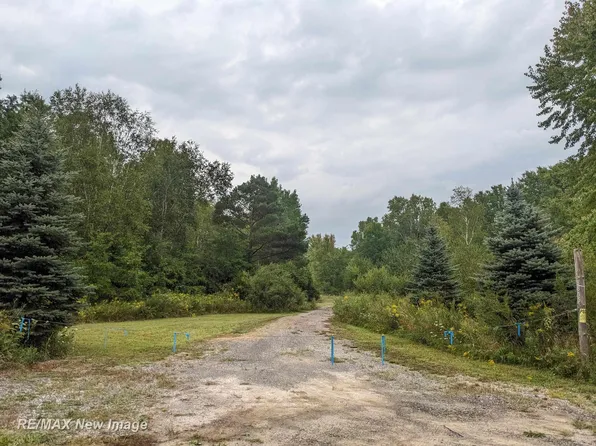 8815 E Garfield Rd, Ashley, MI 48806