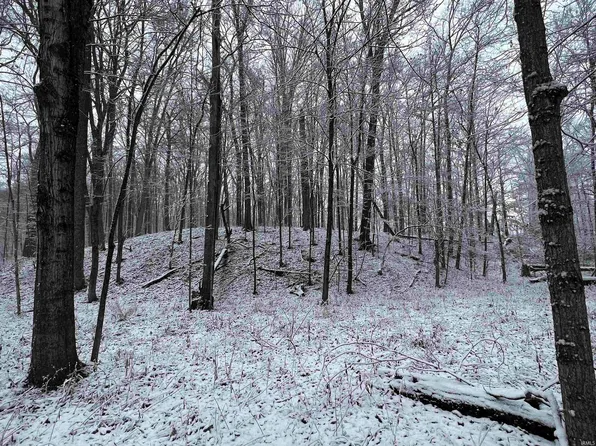 6600 County Road 63, Saint Joe, IN 46785