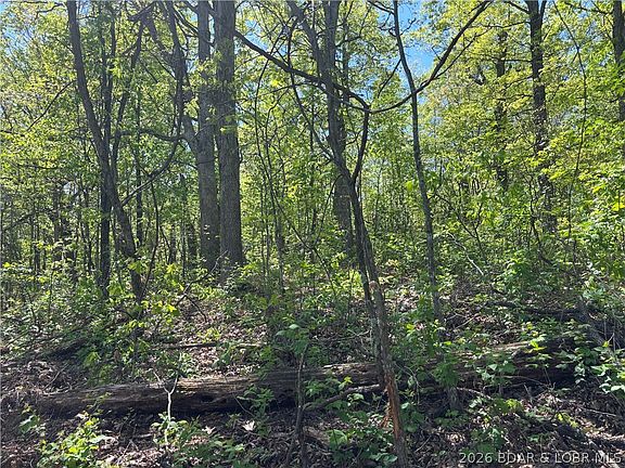 2nd image of 4.92 Ivy Bend Rd