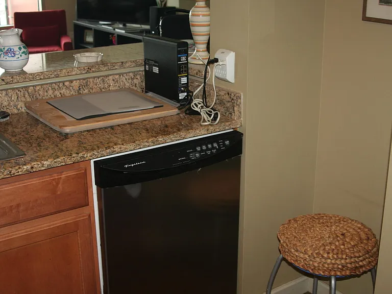 105 Christina Landing Dr #1307 — Photo 8