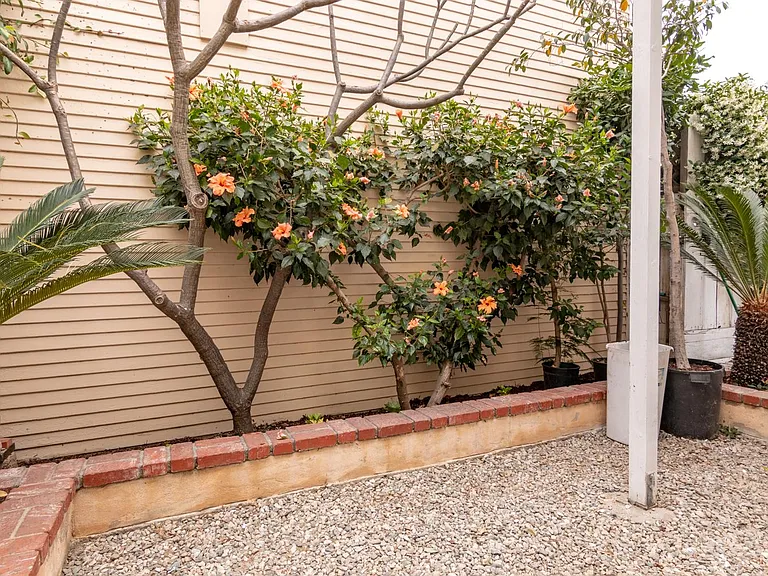 524 Linden Ave — Photo 17