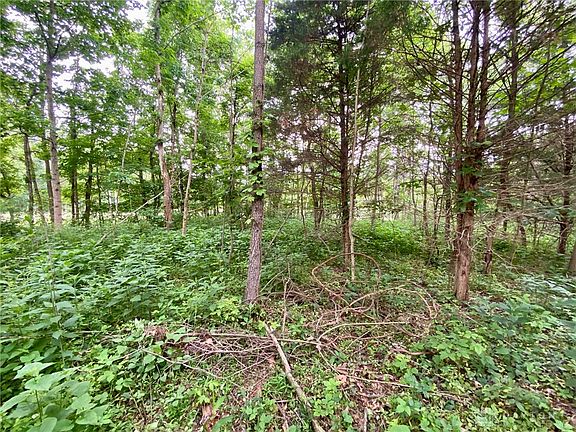 4th image of 85 Pfeifer Rd