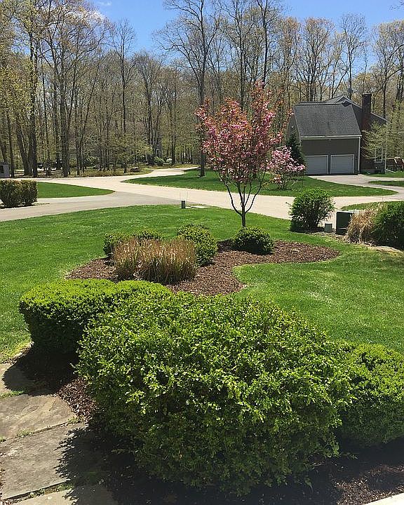 2nd image of 14 Azalea Ln