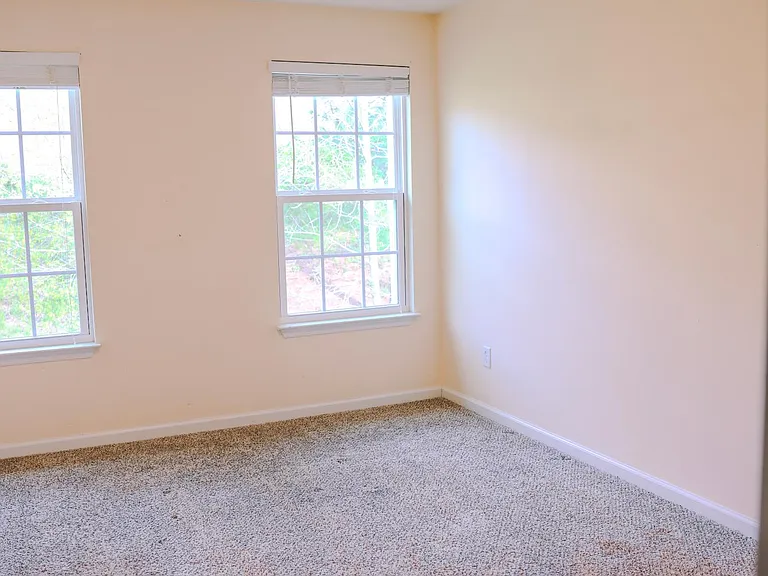 441 Woodbark Ct — Photo 29