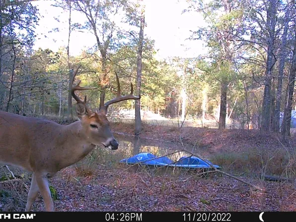 1381 County Road 1825, Talco, TX 75487