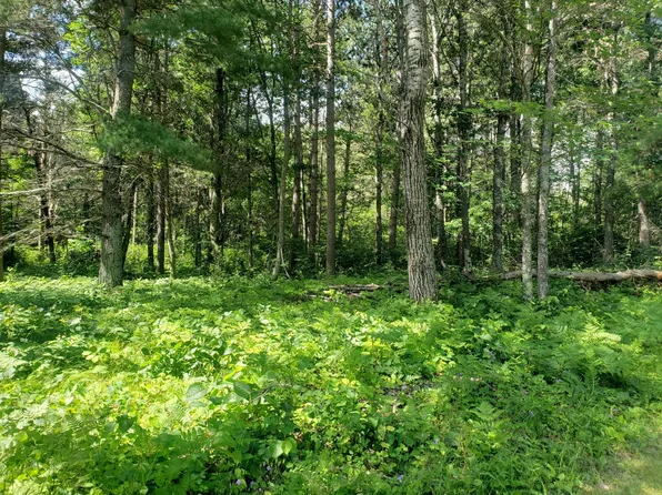 Tbd Grouse Loop NW, Walker, MN 56484