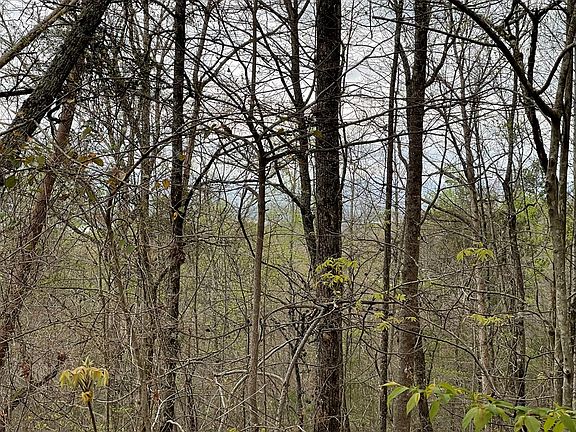4th image of LOT 9B Grandview Dr