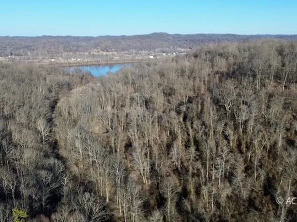 Wells Run Rd, Portland, OH 45770