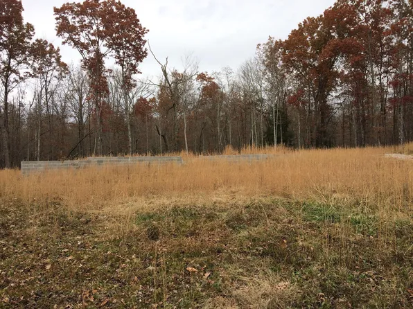 771 Wallace Ln, Grimsley, TN 38565