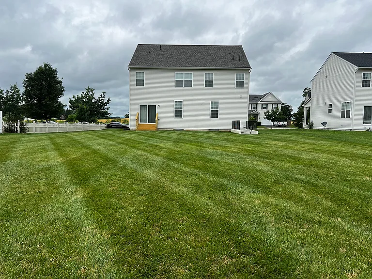 Back yard