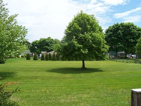 Large back yard