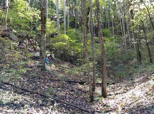 Shady Springs Way, Cosby, TN 37722