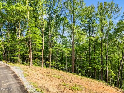27 Sugar Maple Loop Rd LOT 27, Sevierville, TN, 37862