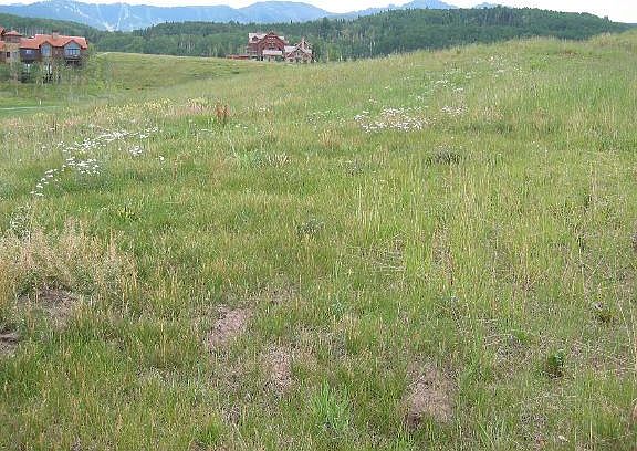 5th image of 152 Adams Ranch Rd