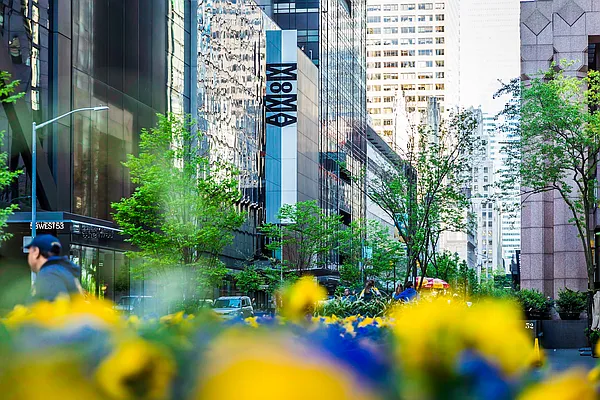 Rented by City Wide Apartments | media 14