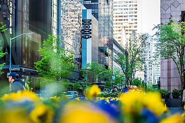 Rented by City Wide Apartments