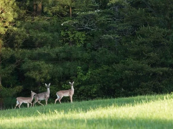 14-37-40 Sandpiper Dr #40, New Waverly, TX 77358