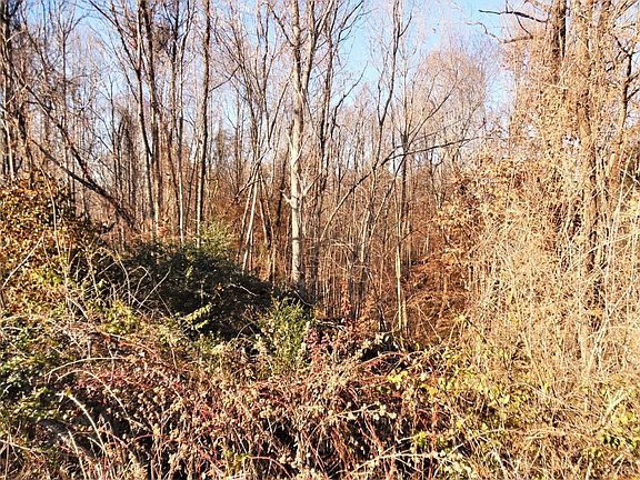 3rd image of 0 Longview Dr