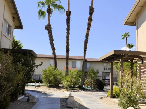 Palm Desert Palms