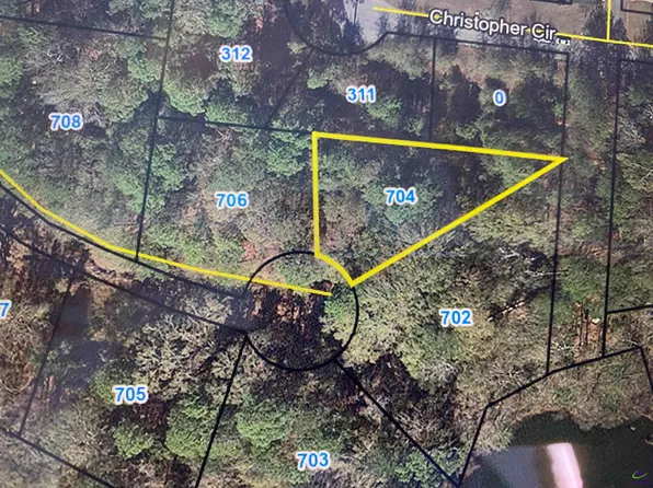 704 Overlook Dr, Montezuma, GA 31063