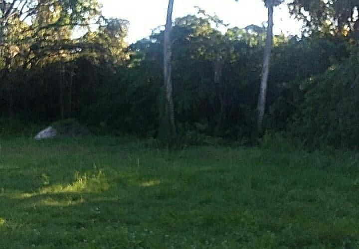 2nd image of 0 Indiana Ave