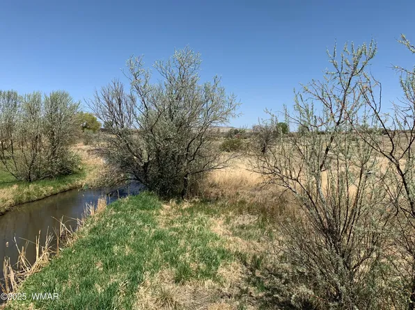 2 N Old Gristmill Rd Lot 2, Eagar, AZ 85925