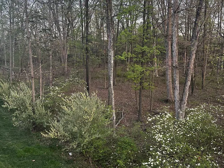 42482 Dogwood Glen Sq — Photo 32