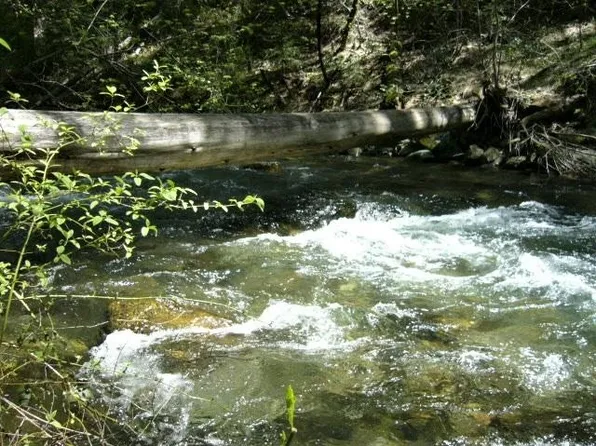 Fronts Soda Crk, Castella, CA 96017