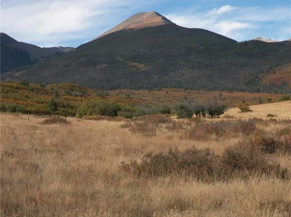 2424 Running Bear LOT 24, Cotopaxi, CO 81223