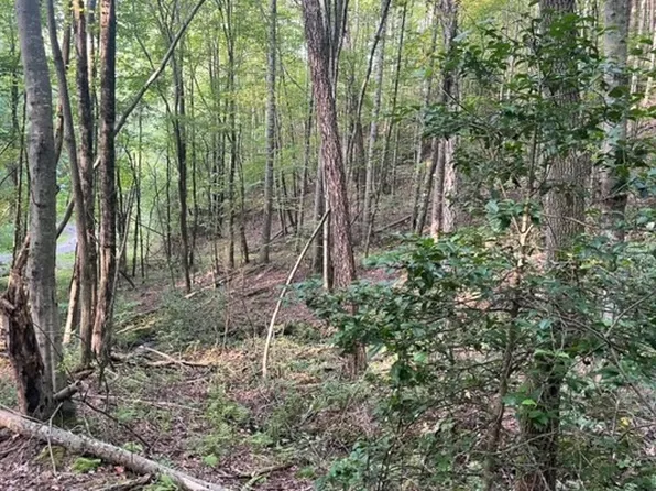 11 Wildwood Dr, Hayesville, NC 28904