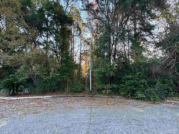 4th image of Gonzalez Park Dr