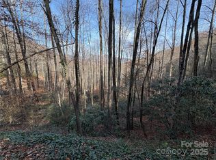 Township Road 6, Whittier, NC 28789