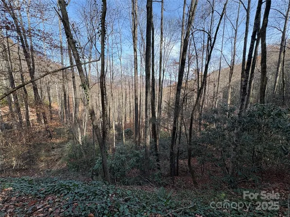 Township Road 6, Whittier, NC 28789